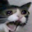 NOO